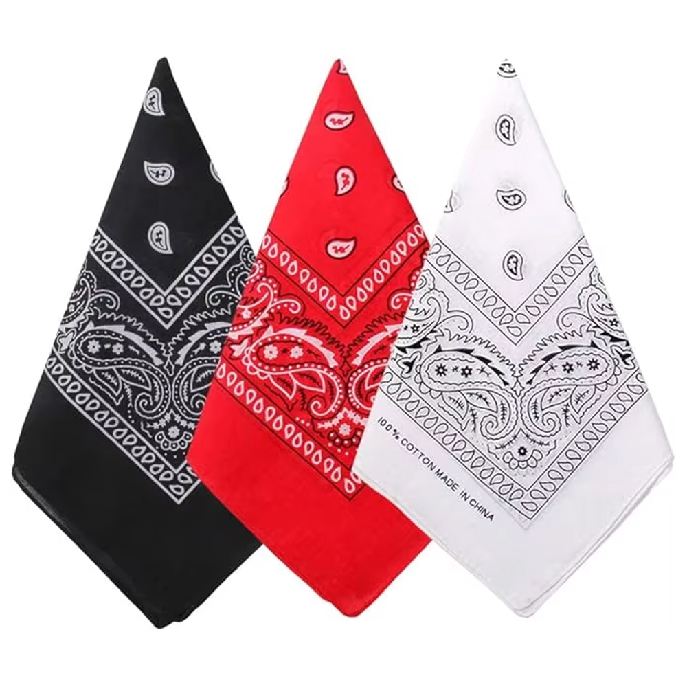 Hip Hop Cowboy Paisley Scarf L - Bandana Blank White recension och pris